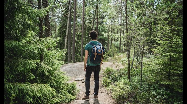 man wearing backpack standing in woods