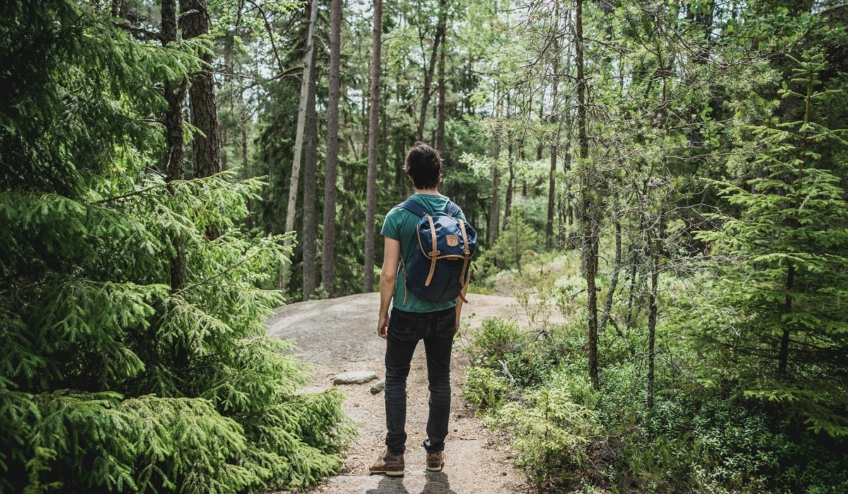 man wearing backpack standing in woods