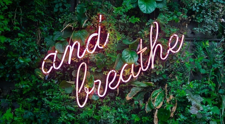 and breathe sign against trees